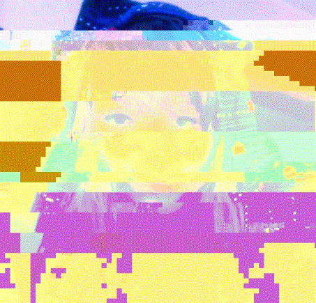 glitch project Lisa Hofmann